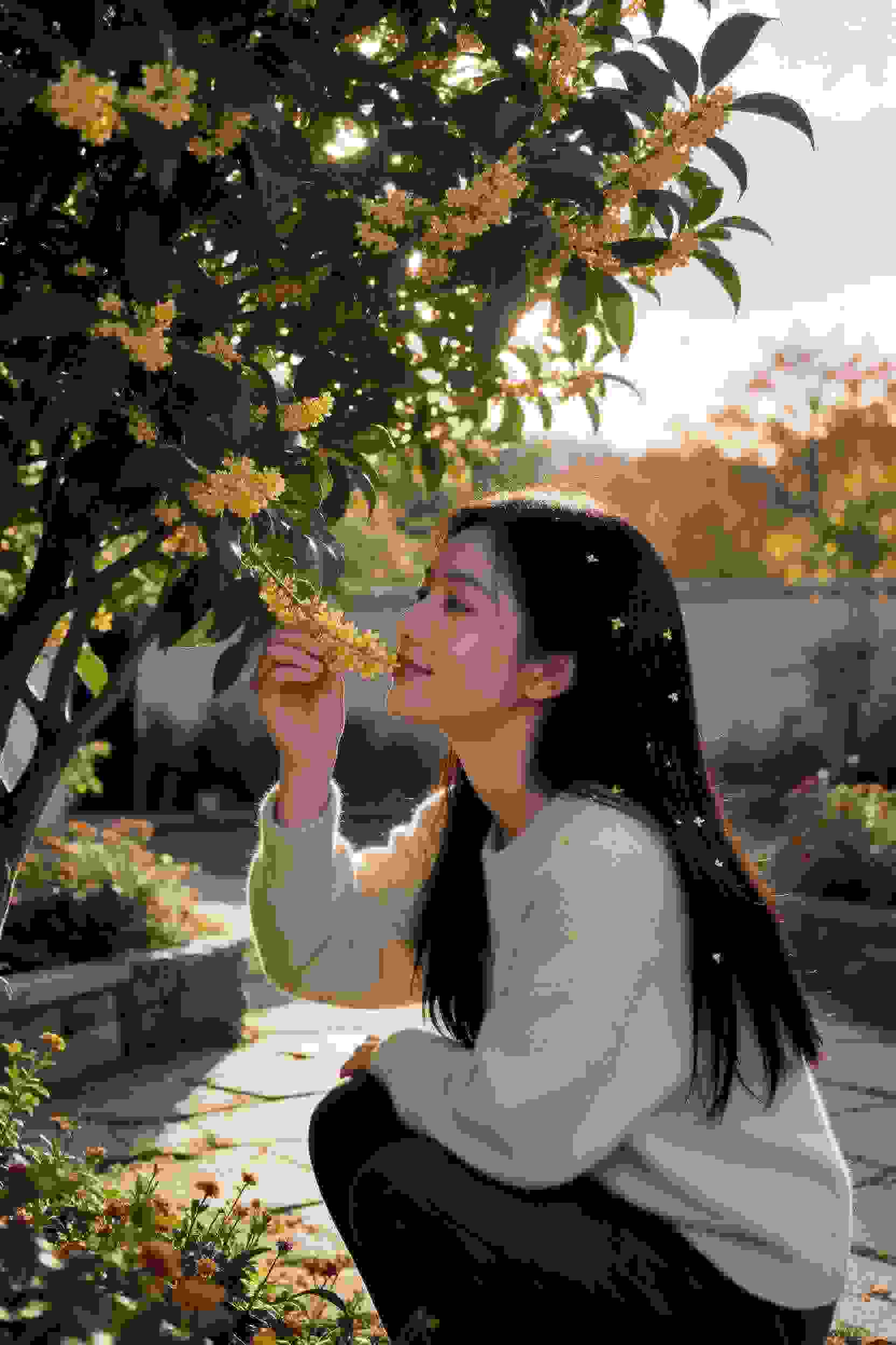 黑暗真相